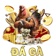 Biểu tượng tỷ lệ thắng cao